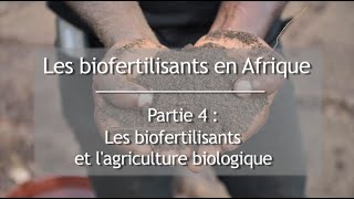 Les biofertilisants en Afrique  Partie 4 [upl. by Haden]