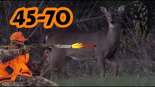 2022 Maine Deer DOWN  Marlin 1895 Guide 4570  GIANT HOLE left behind [upl. by Lanette303]