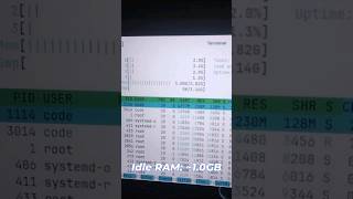 Zorin OS 17  Idle RAM Usage linux zorinos [upl. by Aniretake742]