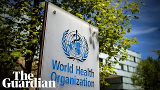 WHO holds news conference on vaccine effectiveness – watch live [upl. by Ynos]