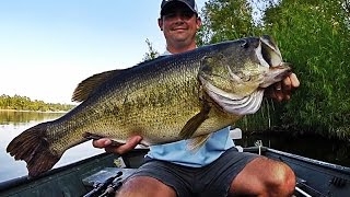 Topwater Bass Fishing Blowups Series 6  50 Big Bass Strikes [upl. by Ierdna]