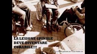 La Lesione Spinale deve diventare curabile  video wmv [upl. by Mureil]