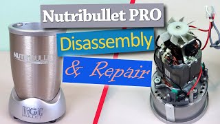 Nutribullet Pro 900 Series Blender Base Disassembly and Repair [upl. by Haerb201]