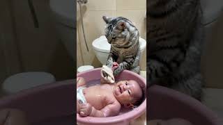 Cat bathes baby [upl. by Salita522]