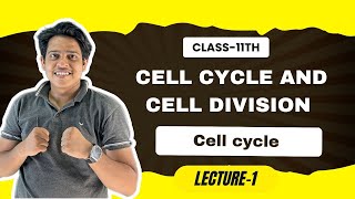 cell cycle and cell division 01  cell cycle Class 11 NEETPrep 202425 [upl. by Saffren]