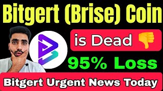 Bitgert Brise Coin is Dead ❌⛔  Brise coin urgent news today  Bitgert Coin Price Prediction [upl. by Pauline586]