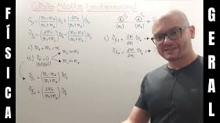 229 Física I e Mec Geral  Colisão Elástica Unidimensional  Casos Particulares [upl. by Mossberg512]