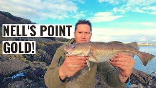 Superb Sea Fishing at Nells Point in Barry [upl. by Inaleon]