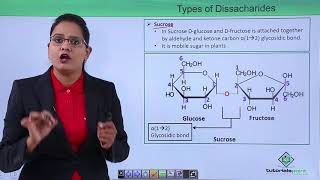 Biomolecules  Oligosaccharides [upl. by Acina]