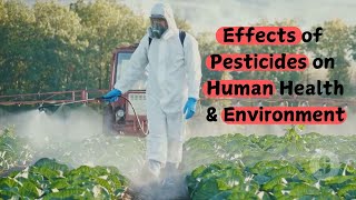 Side Effect of Pesticide on human health and environment कीटनाशकों के खतरनाक प्रभाव [upl. by Owens]