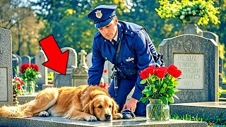 Chien Visite une Tombe Pendant 3 ans un Policier l’ouvre et ce quil Découvre est Surprenant [upl. by Aitram744]