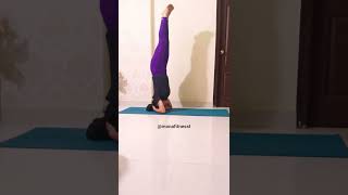 sirsasana headstand armstrengthyoga monafitnesst headstand shorts trending viral yt [upl. by Ettenawtna]