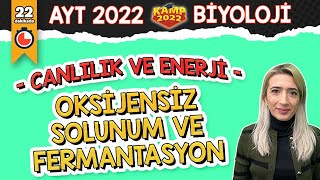 Oksijensiz Solunum ve Fermantasyon  AYT Biyoloji Kamp2022 [upl. by Wehtam476]