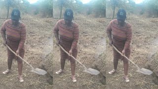 How to Make Charcoal Traditional wayTraditional Charcoal makingafrica [upl. by Ymarej]