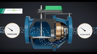 DeltaPValve Overview and Operation [upl. by Enirhtac]