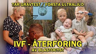 IVF  ÅTERFÖRING AV BLASTOCYST TAR GRAVTEST FILMAR ALLT IVFRESA💙 [upl. by Aaronson29]