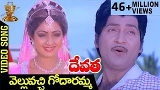 Velluvachi Godaramma Video Song  Devatha Telugu Movie Songs  Shobhan Babu  Sridevi  Jaya Prada [upl. by Hally]