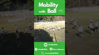 Attivazione Pre training Calcio Mobilità articolare con palla [upl. by Anilok]