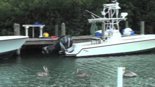 Silent Hunter Fishing Charter  Marathon Florida Fishing Charter [upl. by Tessil]