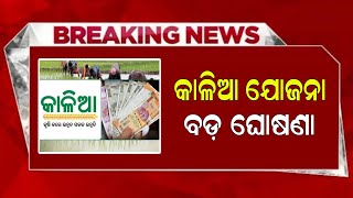 Kalia Yojana New Update 26 December  Kalia Yojana Online Apply 2024  Odisha TV [upl. by Gyatt]