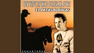 El Patas Blancas Remastered [upl. by Evets974]