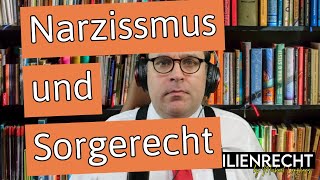 Narzissmus und Sorgerecht Chancen und Risiken im Umgang mit einer Persönlichkeitsstörung [upl. by Nonad551]