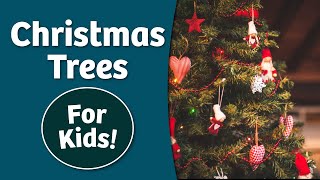 History of Christmas Trees for Kids  Bedtime History [upl. by Skurnik]