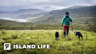 How Does Scottish CROFTING Work [upl. by Bunde929]