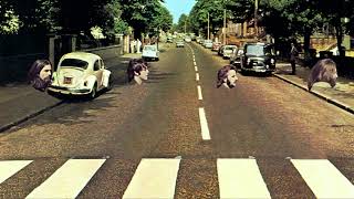 The Beatles  Abbey Road Medley But Its Only Vocals [upl. by Briano]