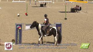 Gaited Working Equitation  IGV EOA 2019  Speed Lena Schilling auf Mia Luna de la Noche [upl. by Aksel]