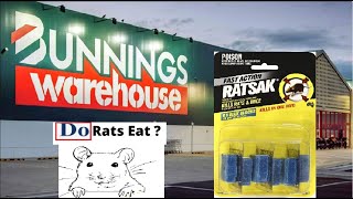 RATSAK FROM BUNNINGS WILL RATS EAT IT NOISES IN MY ROOF [upl. by Ibbie]