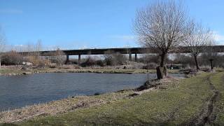 SUMMERHAYES FISHERY BRIDGWATER SOMERSET [upl. by Maxantia]