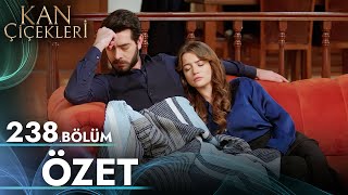 Kan Çiçekleri 238 Bölüm  Özet [upl. by Yelyr523]