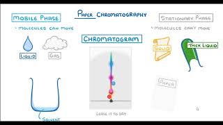 Paper chromatography [upl. by Sarena]