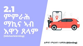 21 ምምራሕ ማኪና ኣብ እዋን ጸላምMörkerkörning [upl. by Airotahs]