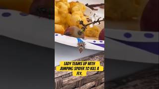 Lady teams up with jumping spider to kill a fly [upl. by Dodson436]