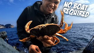 CATCHING CRABS WITHOUT LEAVING THE SHORE unbelievable crabbing in Washington [upl. by Razec]