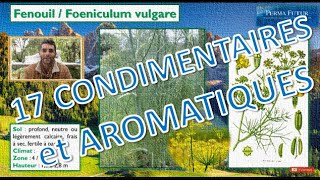 17 PLANTES CONDIMENTAIRES et aromatiques [upl. by Rowland]