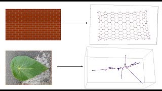 How To Get Networks From Images Using Mathematica [upl. by Frech175]