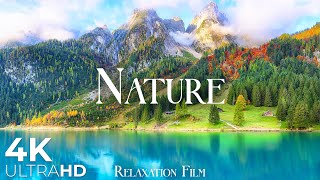 Nature Relaxation Film 4K  Beautiful Relaxing Music  Video Ultra HD [upl. by Grose681]