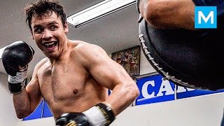 Julio Cesar Chavez Jr Boxing Training Highlights  Muscle Madness [upl. by Notselrahc]