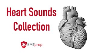 Heart Sounds Collection  EMTprepcom [upl. by Jemine]