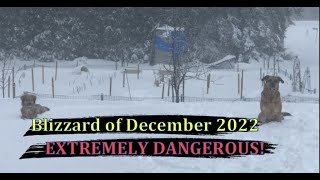 MAJOR WINTER STORM Christmas Eve Blizzard of December 2022 of West Grey Ontario [upl. by Ardeed890]