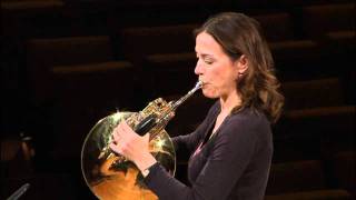 Berliner Philharmoniker Master Class  Horn [upl. by Sy]