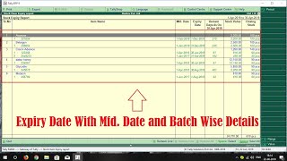 Amazing TDL of Mgf Date Exp Date amp Batch Wise Reports with Remaining Date  Explore Busy [upl. by Dric610]