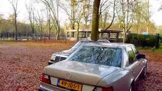 2x Mercedes 500E Autumn check [upl. by Lias202]