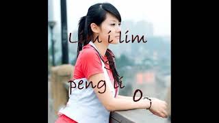 lim i lim amp peng liong [upl. by Hplodnar839]