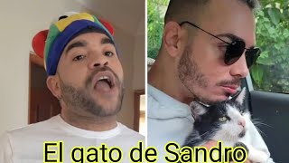 EL GATICO DE SANDRITO CASTRO ðŸ˜…ðŸ˜…cubanosenelmundo comedyhumor [upl. by Ynnam220]