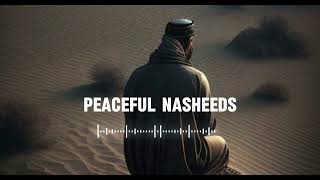 5 Soul healing Nasheeds 🤍 Arabic Nasheed  Muhammad Al Muqit nasheed [upl. by Gish]