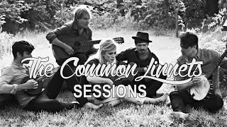 The Common Linnets  Sessions [upl. by Fernald621]